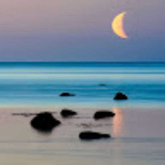 Meet your Posher, Murrdhf - Picture 1 of 1